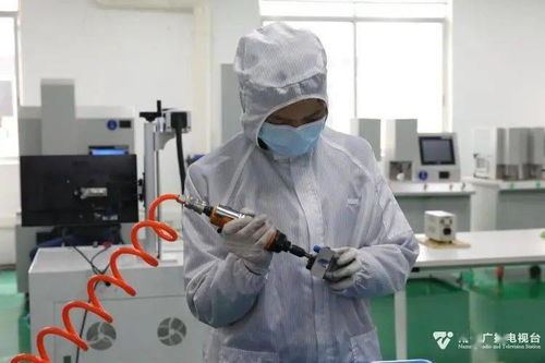 科技種子在南寧開花結(jié)果，網(wǎng)絡(luò)技術(shù)創(chuàng)新激發(fā)經(jīng)濟(jì)新活力